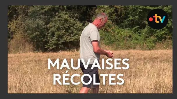 Mauvaises récoltes dans la Vienne