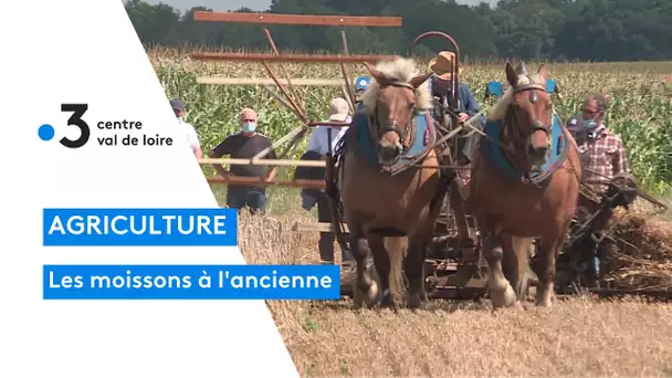 Les moissons à l'ancienne près de Montargis