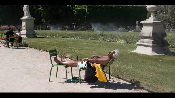 Jusqu'à 40 degrés ressentis cette semaine, allons-nous vers une canicule ?