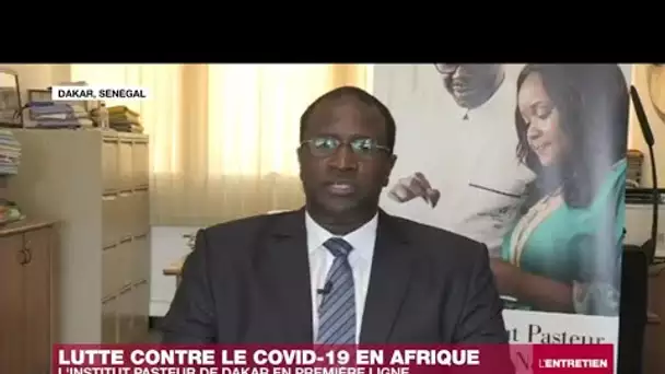 Dr Amadou Sall : "L’Institut Pasteur de Dakar veut faciliter le dépistage du Covid-19 en Afrique"