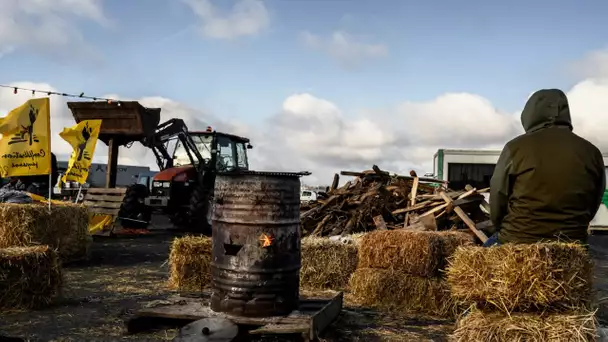 Crise agricole : ces irréductibles exploitants lyonnais qui poursuivent le mouvement