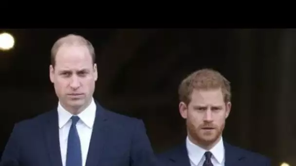 Princes William et Harry : cet évènement auquel ils vont bientôt devoir assister...