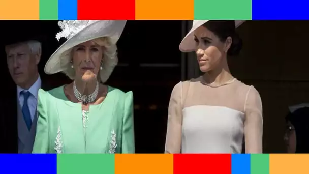 👑  “Meghan Markle n'a jamais aimé Camilla et je suis sûr que c’est réciproque” : cet expert royal b