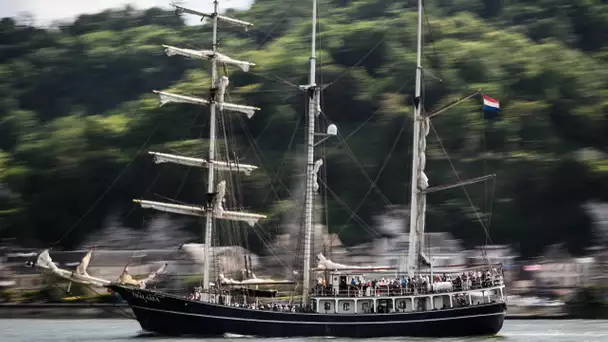 Rouen : l'Armada, un rassemblement de centaines de grands voiliers, débute ce jeudi