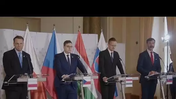 Le groupe de Visegrad est divisé sur la question des armes à donner à l'Ukraine