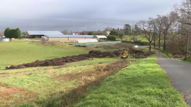 Landes : naissance d'une "forêt comestible" à Estibeaux