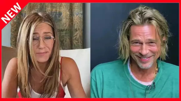 ✅  Chat échaudé… Brad Pitt n'est pas près de se remarier !