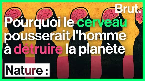 Pourquoi notre cerveau nous pousserait à détruire la planète