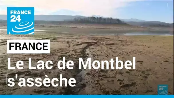 "C'est dramatique" : le lac de Montbel s'assèche • FRANCE 24