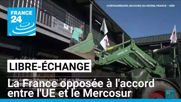 Libre-échange entre l'UE et le Mercosur : la France opposée à l'accord • FRANCE 24