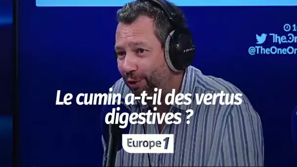 Le cumin a-t-il des vertus digestives ?