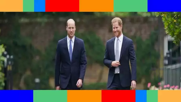 William et Harry  nouvelles retrouvailles annoncées en l'honneur de la princesse Diana