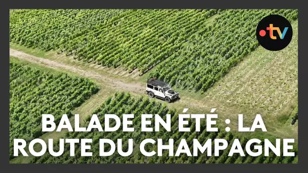 La route touristique du champagne, une balade à la découverte du vin effervescent