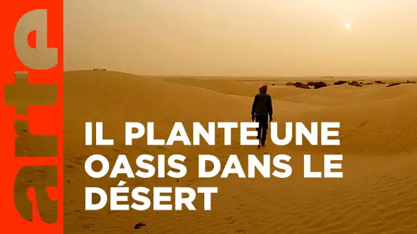 Tunisie - Une nouvelle oasis dans les dunes | ARTE