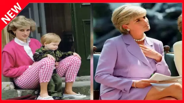 ✅  Lady Diana : son dernier abri mis aux enchères