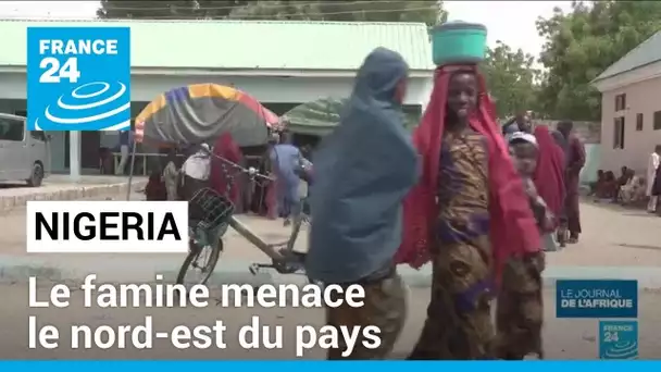 La famine menace le nord-est du Nigeria • FRANCE 24