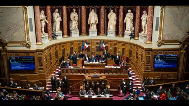 Retraites : régimes spéciaux, CDI senior... Au Sénat, les Républicains posent leurs conditions