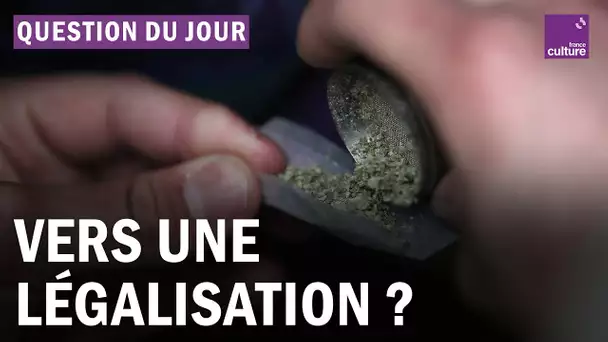 Faut-il encadrer le marché du cannabis ?