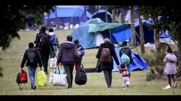 Dans le Nord, 1.000 migrants évacués d'un campement : "Chacun était content de sortir de ce bidon…