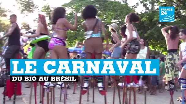 Mode écolo oblige, le carnaval de Rio se met aux paillettes biodégradables