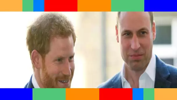 Les conversations privées de Harry et William dévoilées par une amie de Meghan : une stratégie qui i