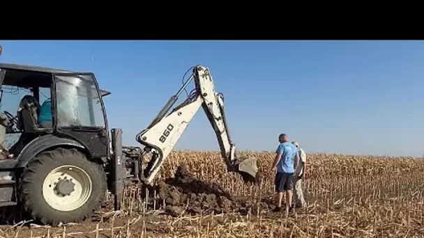 Roumanie : la sécheresse menace l'agriculture du pays à long terme