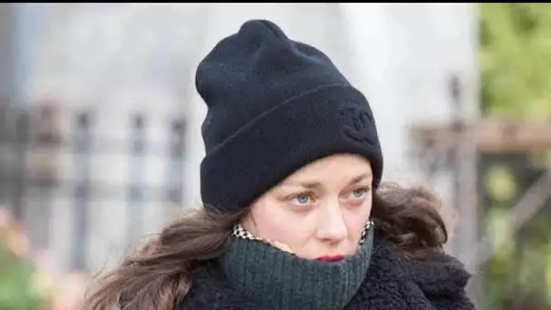 Marion Cotillard quitte Instagram : pourquoi l'actrice est furieuse ?