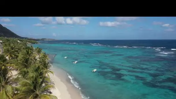 Guadeloupe : les trésors de l'archipel papillon • FRANCE 24