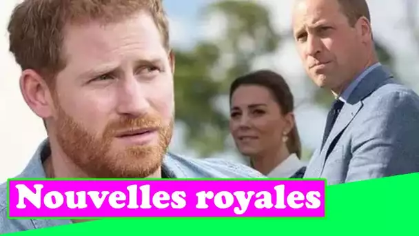 Le prince Harry « fait pression » sur William pour empêcher Kate de dévoiler sa statue, selon un exp