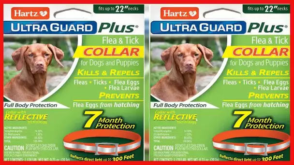 Hartz UltraGuard Plus Reflective Orange Flea & Tick Collar for Dogs and Puppies