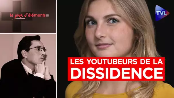 Notre guide des 36 youtubeurs  de la dissidence - Le Plus d'Eléments - TVL