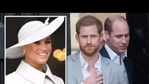 La querelle du prince Harry et du prince William devrait se poursuivre en raison de la "tendance vic