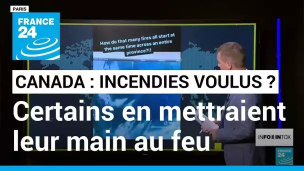 Incendies au Canada orchestrés ? Des internautes en mettraient leur main au feu. • FRANCE 24