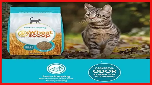 sWheat Scoop Fresh Linen Clumping Cat Litter