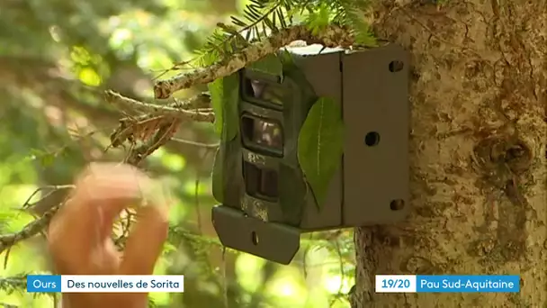 Dernières images de Sorita avant l'hivernation