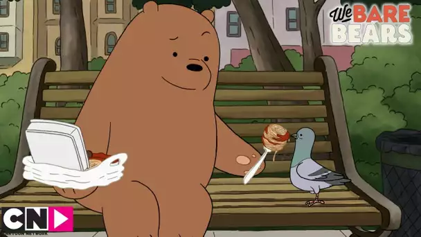 Les pigeons | We bare bears | Cartoon Network