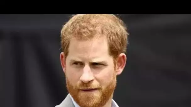 Le prince Harry "a parcouru les réseaux sociaux pour des commentaires sarcastiques tous les soirs lo