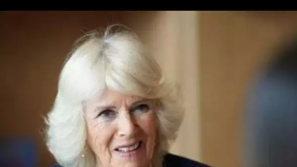 Camilla partage un «mélange extraordinaire» d'invités de rêve à un dîner avec un club de lecture