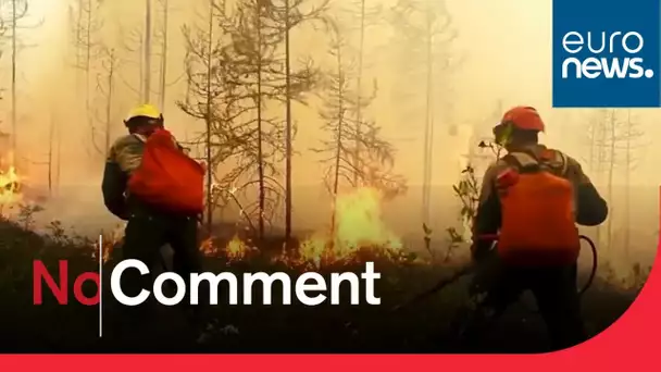 Des incendies ravagent les forêts en Sibérie