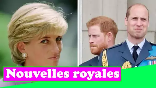 Le prince Harry démonte le plan de Diana pour que Duke devienne «l'ailier fiable» de William