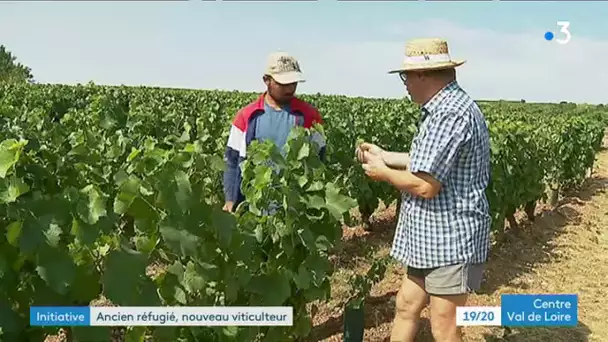 Un viticulteur du Sancerrois emploie un réfugié Afghan pour l'aider ses vignes