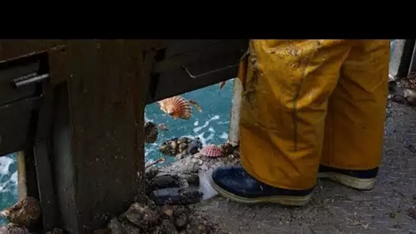 Pêche post-Brexit : Guernesey accorde 40 licences à des bateaux français