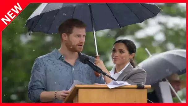 ✅  Meghan Markle était « au bord du gouffre » : ce qui a poussé Harry à passer à l'acte