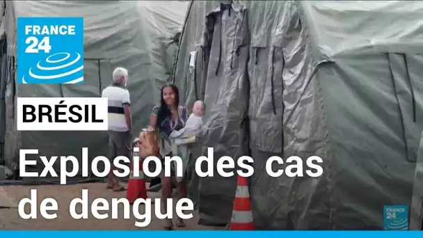 Brésil: explosion des cas de dengue en attendant la vaccination • FRANCE 24