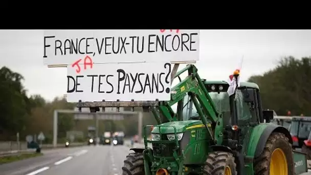 France : agriculteurs en détresse (et en colère)