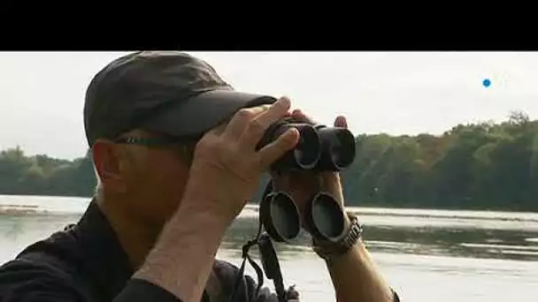 Caché sous sa cabane, ce photographe animalier capture la faune ligérienne