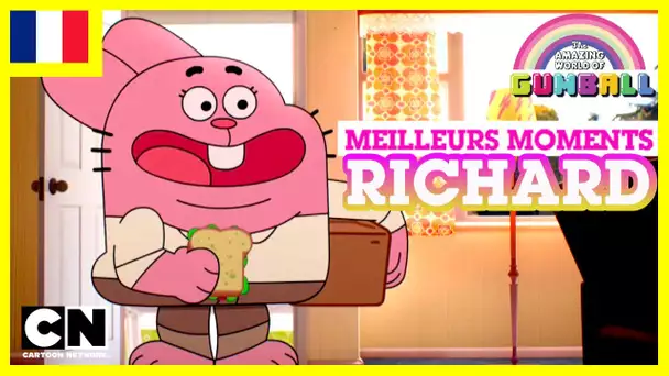 Le Monde Incroyable de Gumball 🇫🇷 | Les meilleurs moments de Richard #3