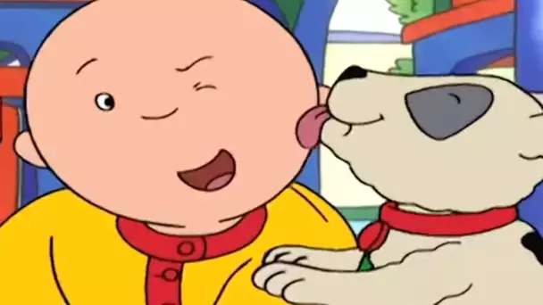 Caillou et le Chiot | Caillou en Français