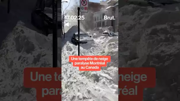 Scènes apocalyptiques à Montréal. En 4 jours près de 75 cm de neige se sont abattus sur la ville.