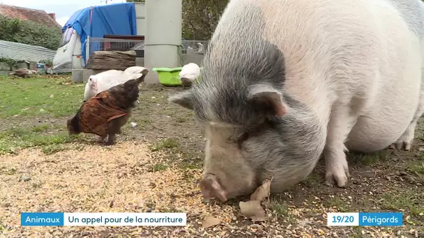 Solidarité : ils ont besoin de légumes pour leurs animaux